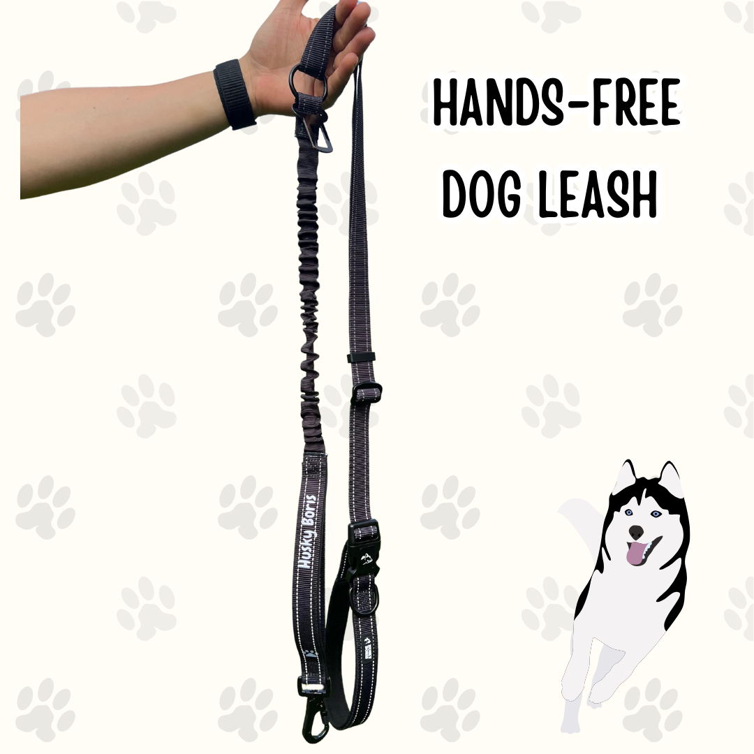 Hands-free Leash