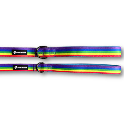 Rainbow | Leash