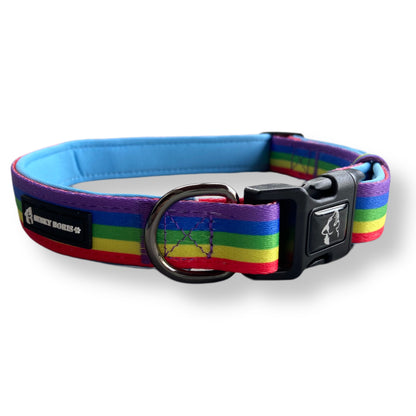 Rainbow | Collar