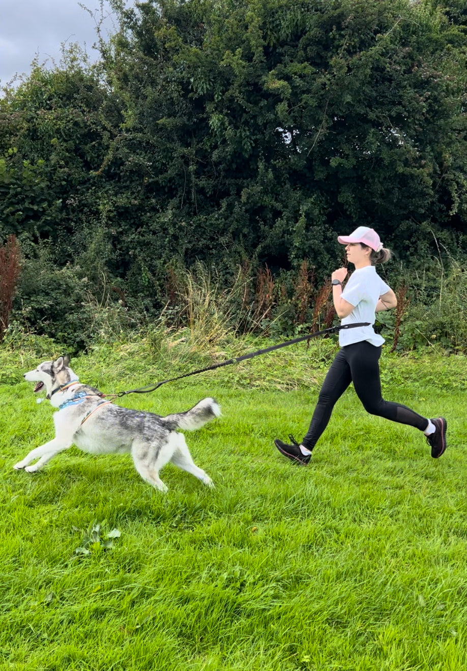 Hands-free Dog Leash