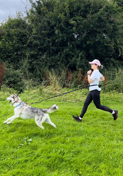 Hands-free Dog Leash