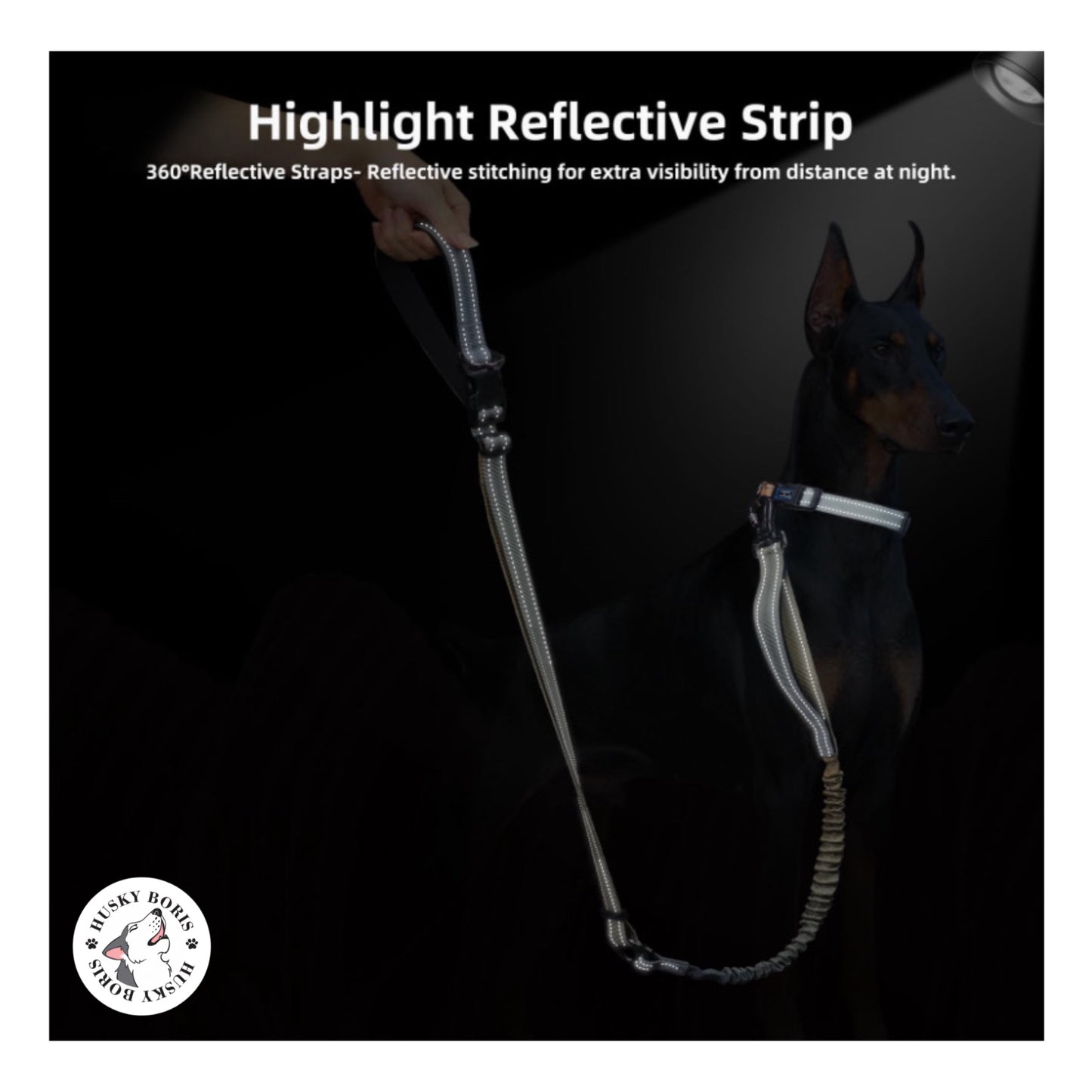 Hands-free Dog Leash