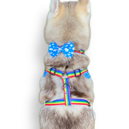 Rainbow | Bow Tie