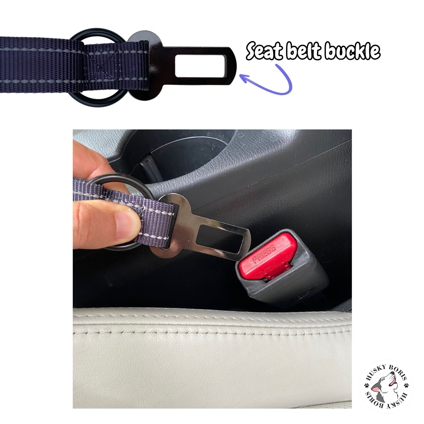 Hands-free Dog Leash